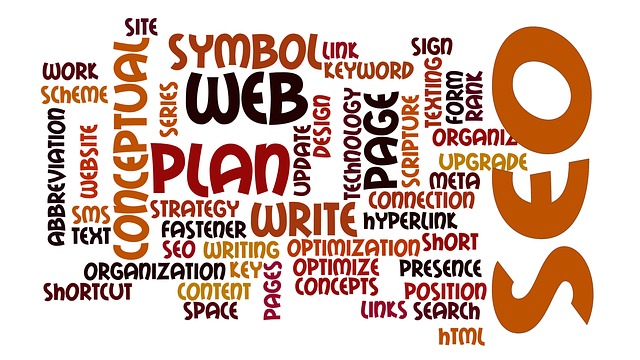 Firma Seolight